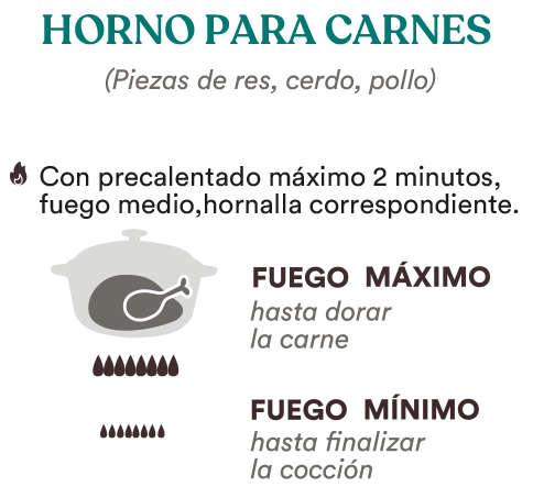 Horno para Carnes